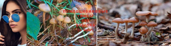 прущий лед Белокуриха