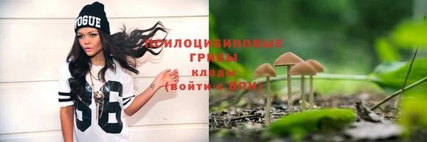 mdpv Беломорск