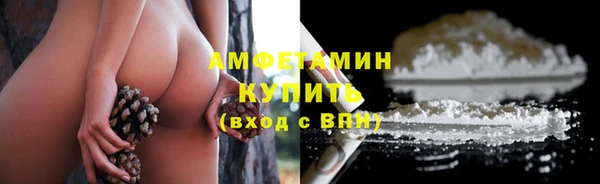 mdpv Ельня