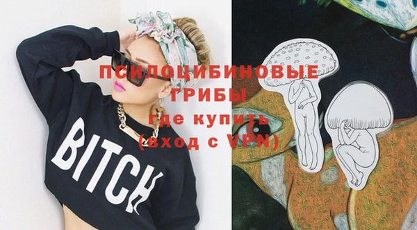 прущий лед Белокуриха