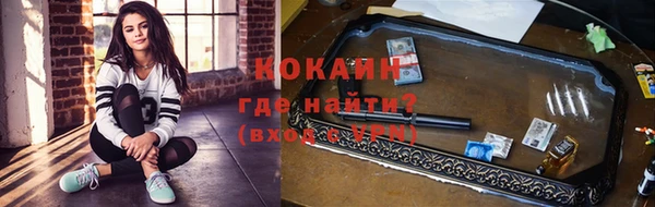 mdpv Ельня