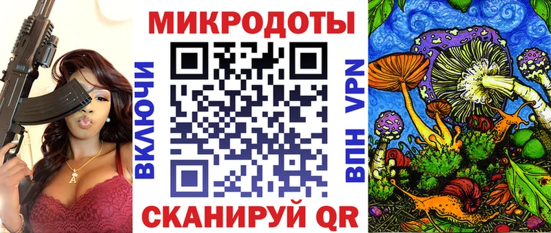 купить наркоту  Сковородино  гидра сайт  Псилоцибиновые грибы GOLDEN TEACHER 